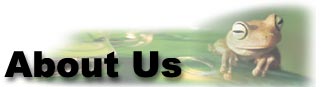 About Us